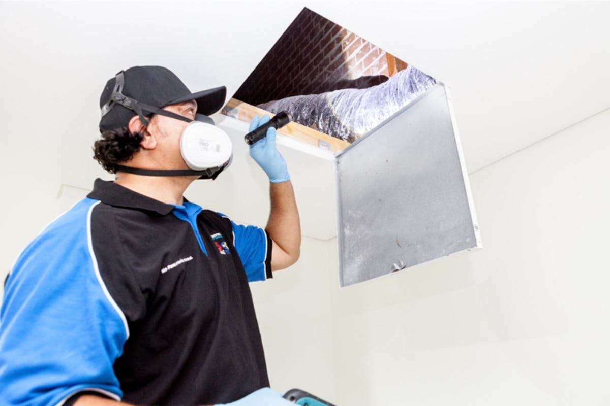 Service image 1