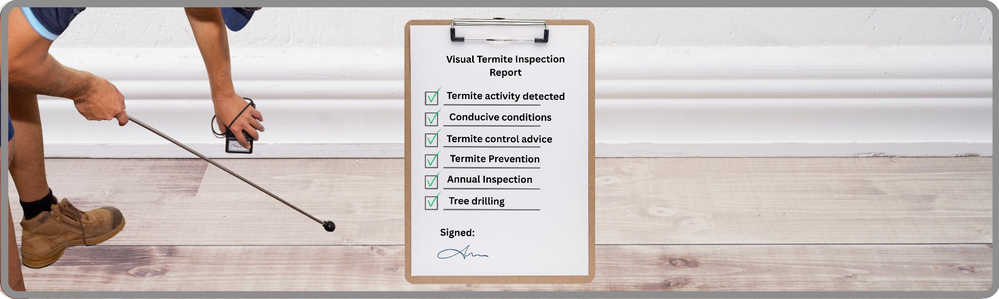 Professional Inspection