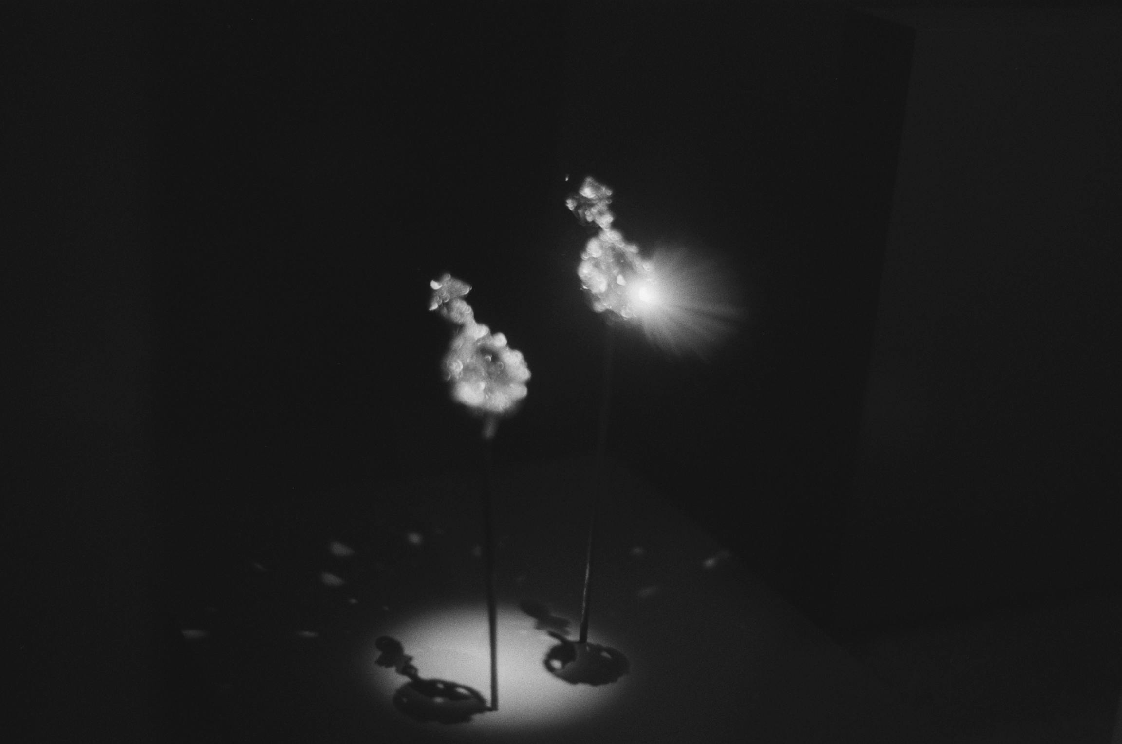 Art Basel Paris