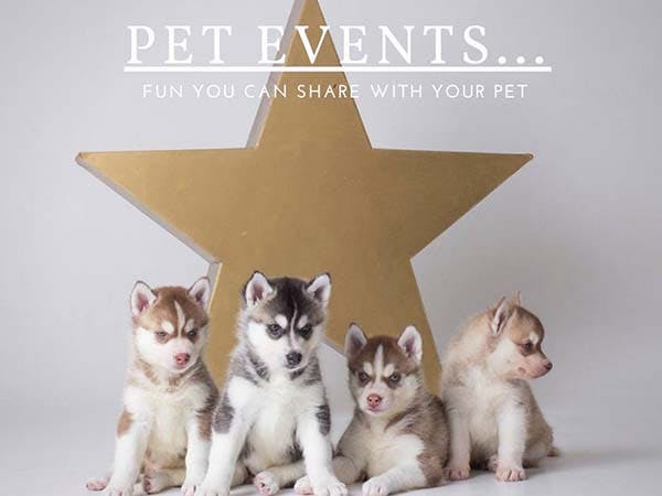 Pet events