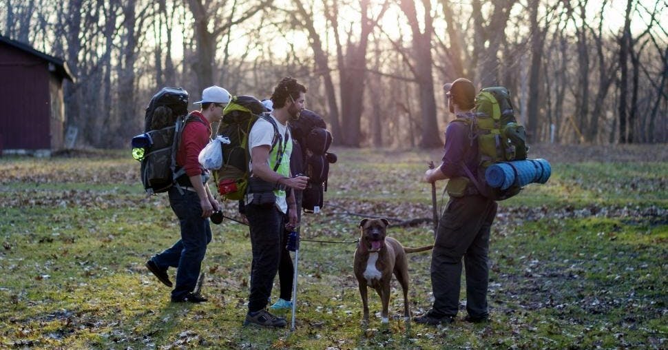 Group of people with backpacks and a dog hiking in the wilderness