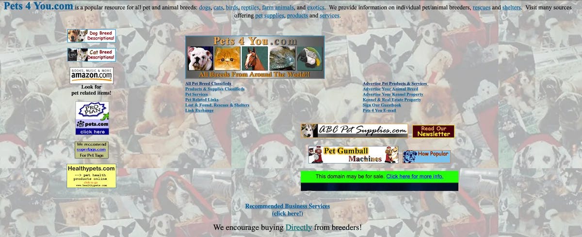 Pets4You.com in 2000