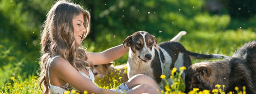 En quoi consiste la garde pour animaux en famille