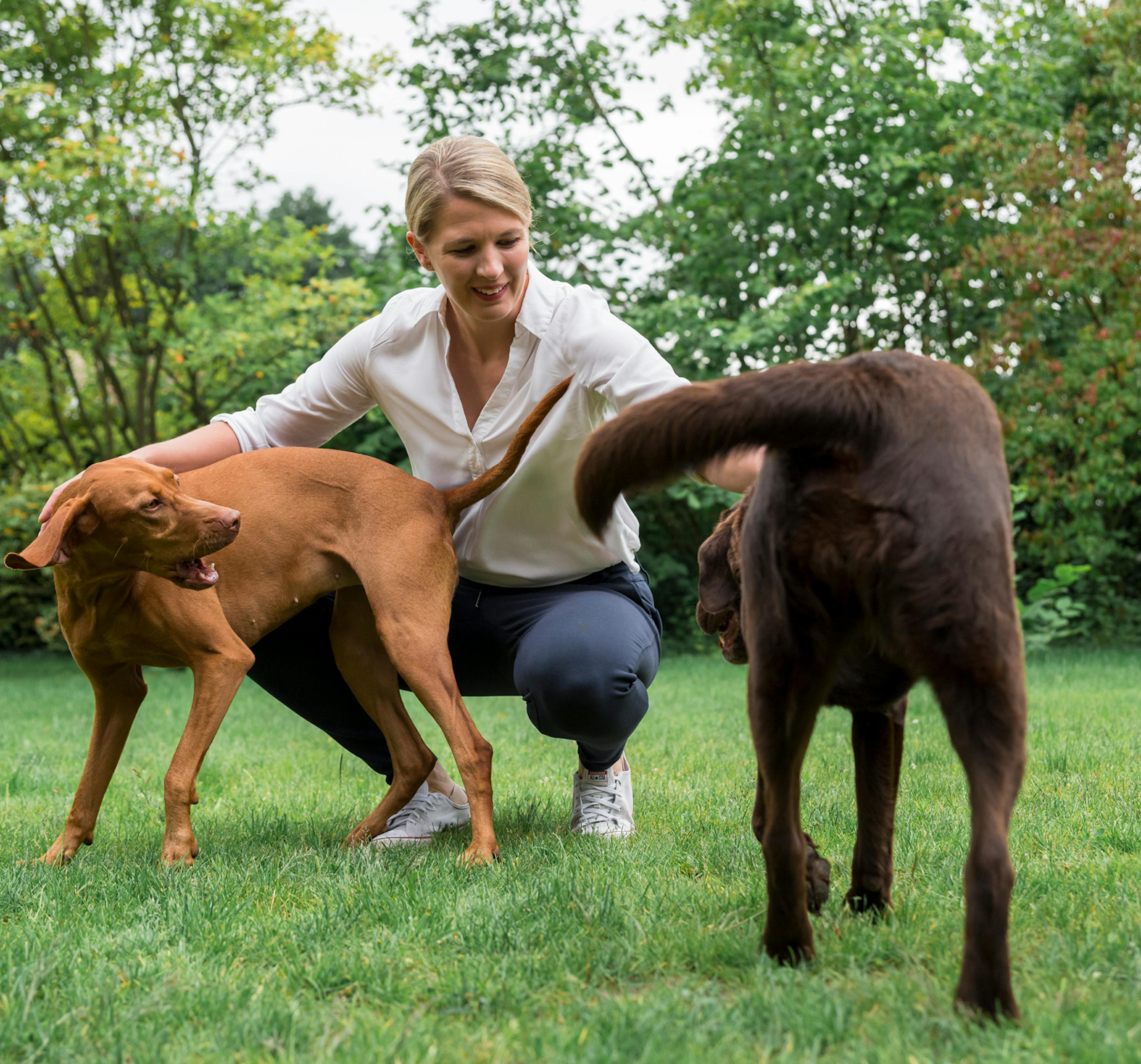 Cornelia Schwennen, playing joyfully with two dogs on a lush green lawn.