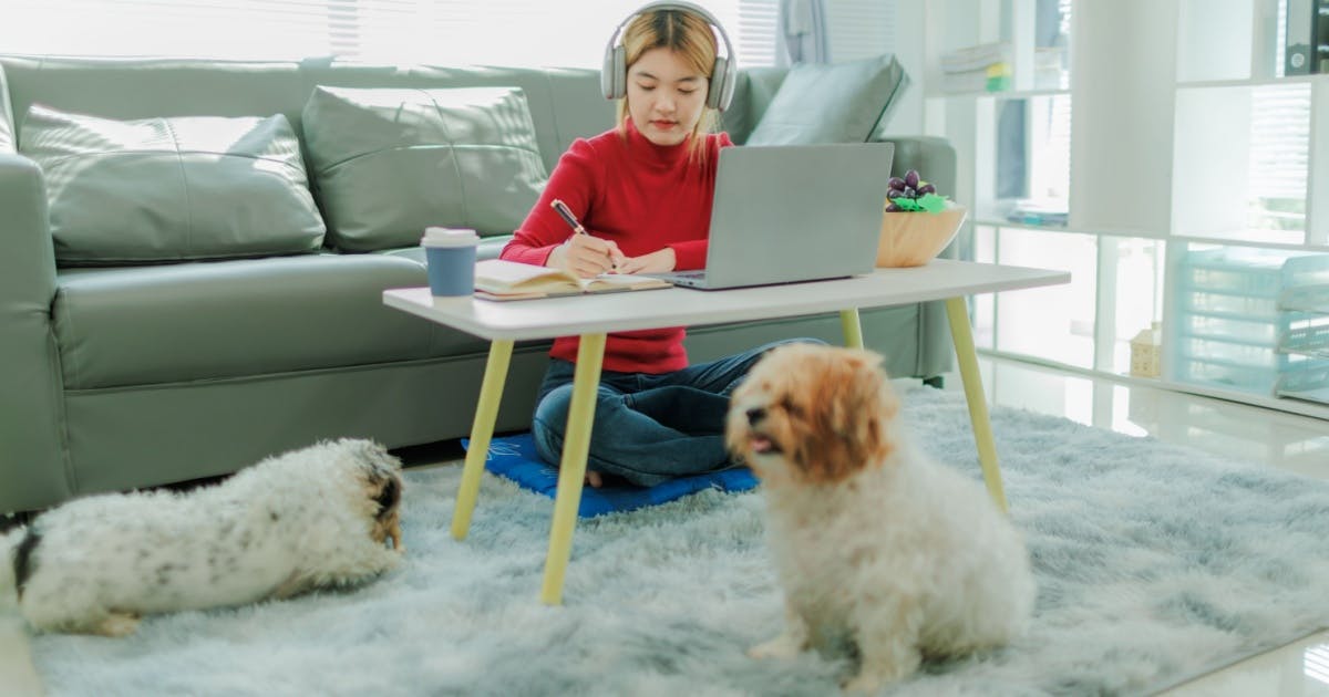 Aluna fazendo curso de inglês online em casa pelo computador.