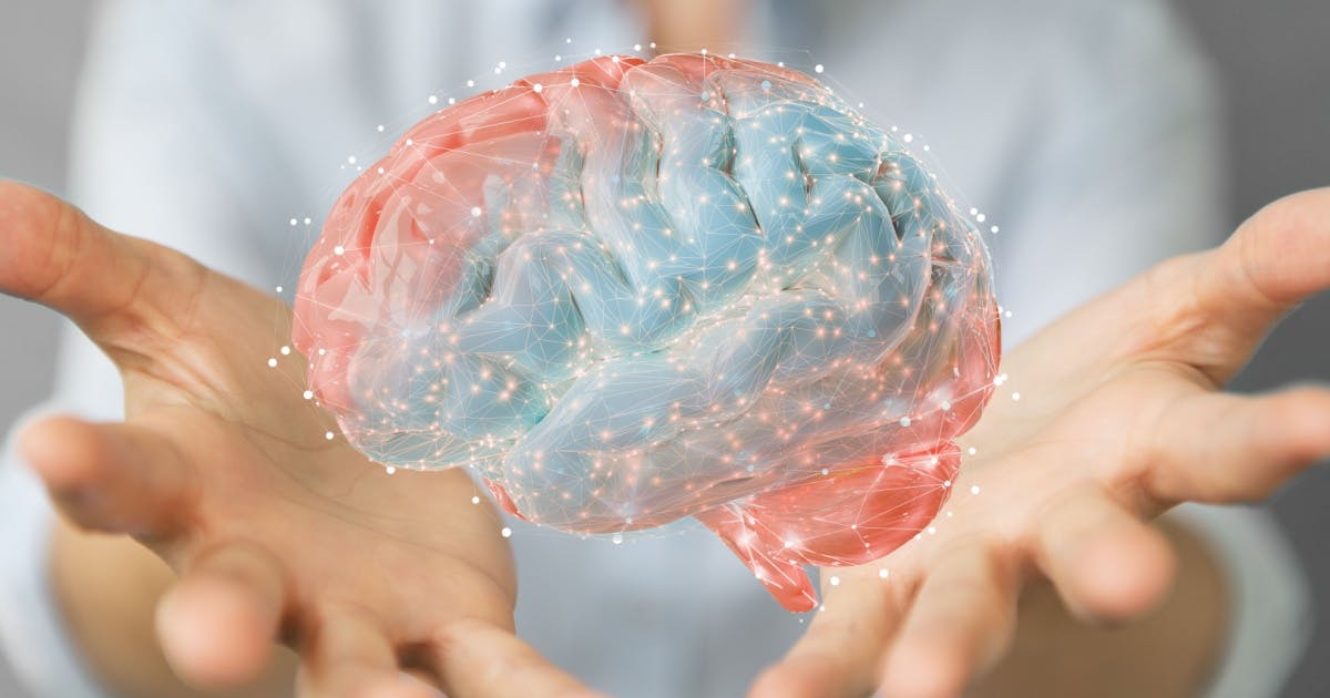 Cérebro bilíngue em atividade representando benefícios cognitivos.