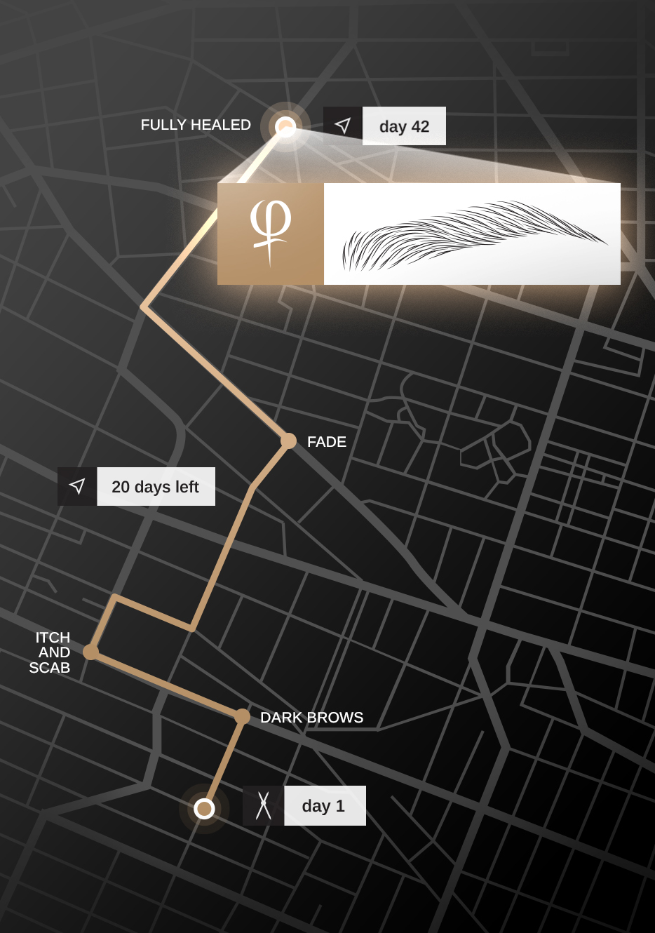 the Microblading Healing Journey by PhiAcademy