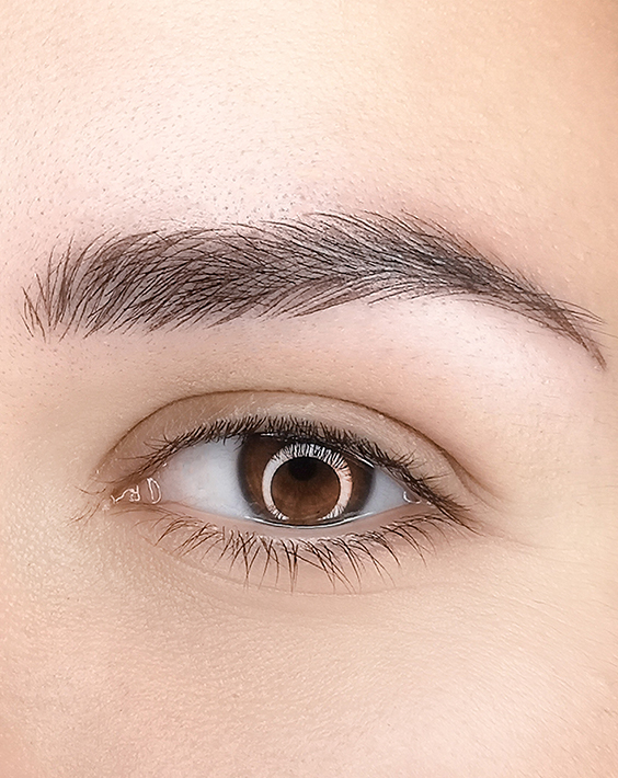 Eyebrows
