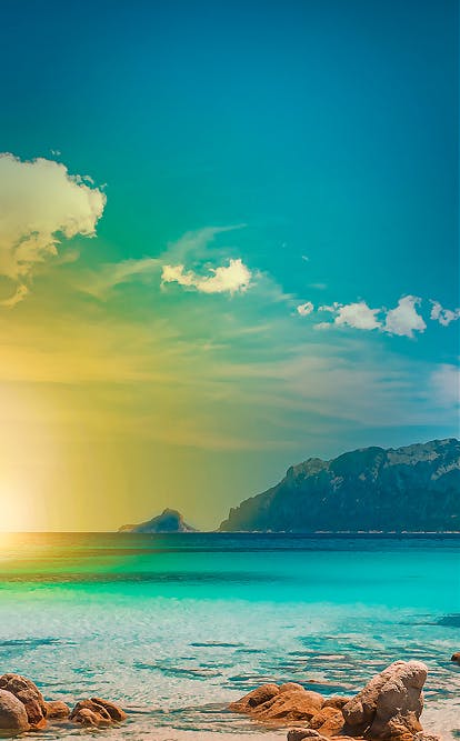 PhiBrows Experience in Sardinia
