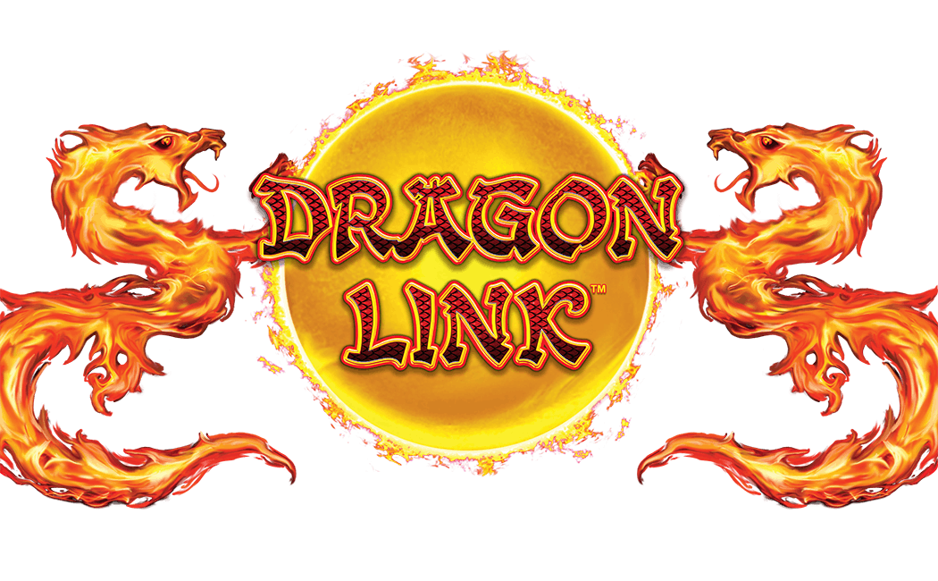 DRAGON LINK $11,155.91