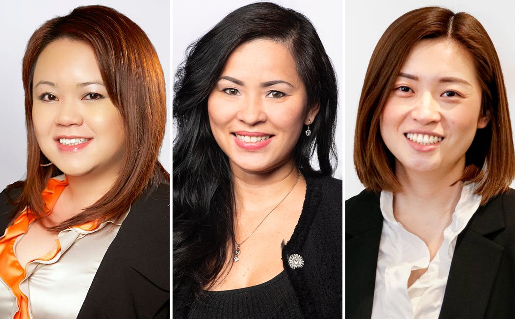 Meet the Team