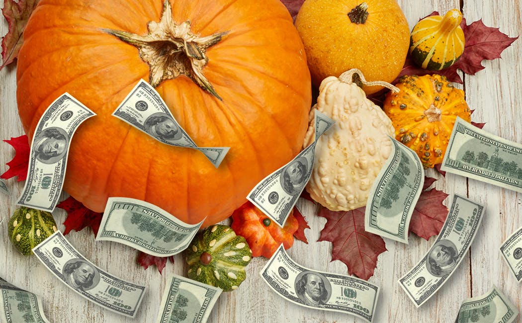 Cash Harvest Hot Seat