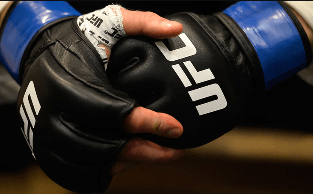 UFC and Boxing Blog