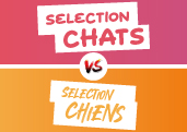 Sélection 