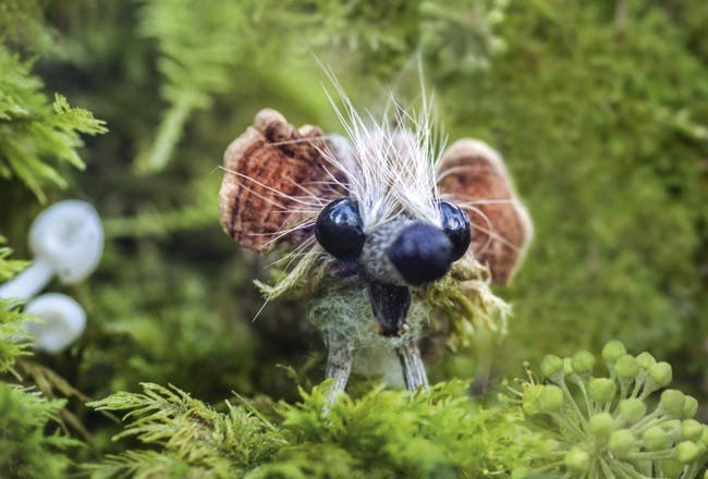 Le jeu de société Pixies de Bombyx