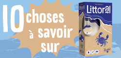 10 choses à savoir (absolument) sur Littoral
