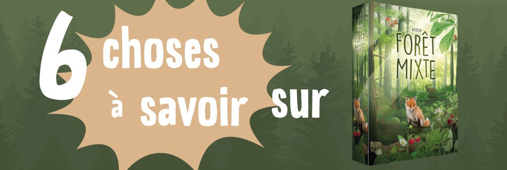 6 choses à savoir (absolument) sur Forêt Mixte
