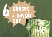 6 choses à savoir (absolument) sur Forêt Mixte