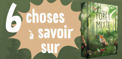 6 choses à savoir (absolument) sur Forêt Mixte