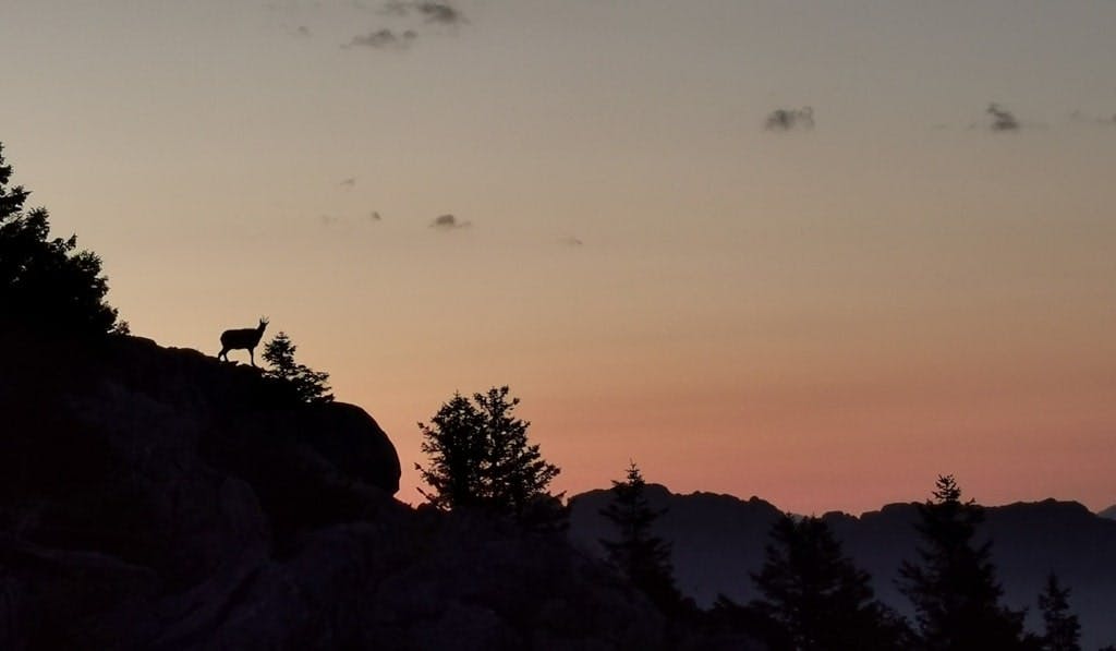 Le Parc de Chartreuse