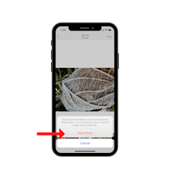 image of iphone hide option