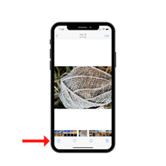 image of iphone share option
