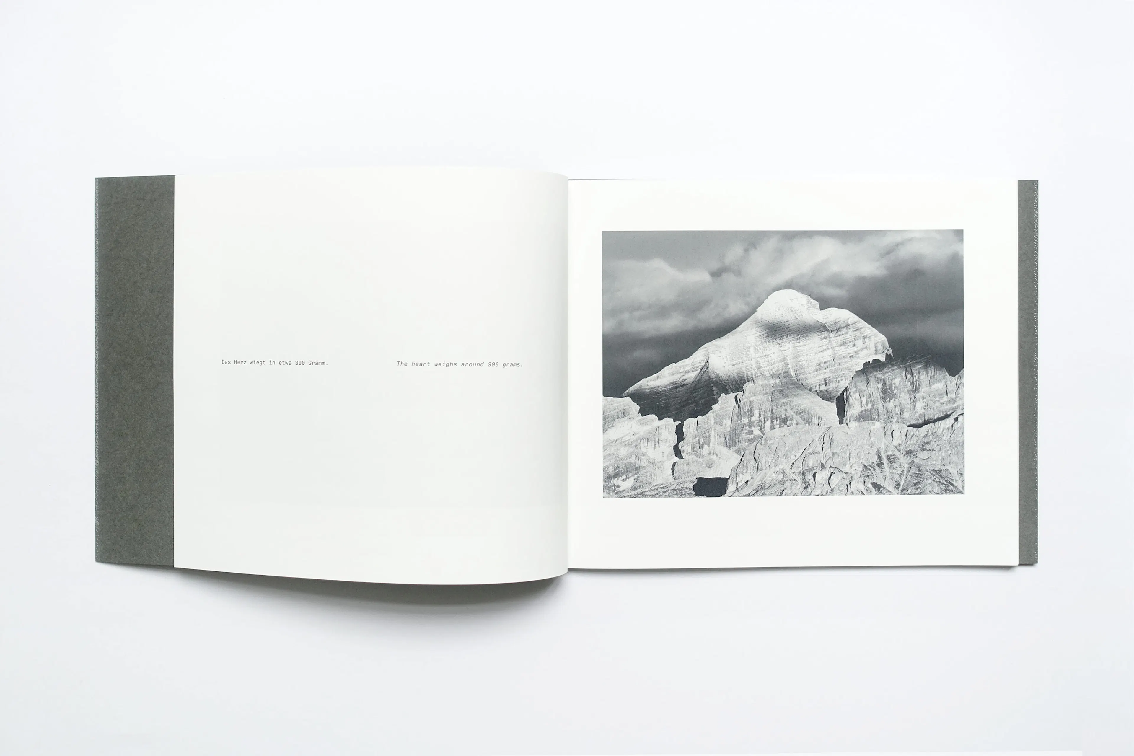 Design for the inner pages of Amélie Walter's photo book "Herzensangelegenheiten"