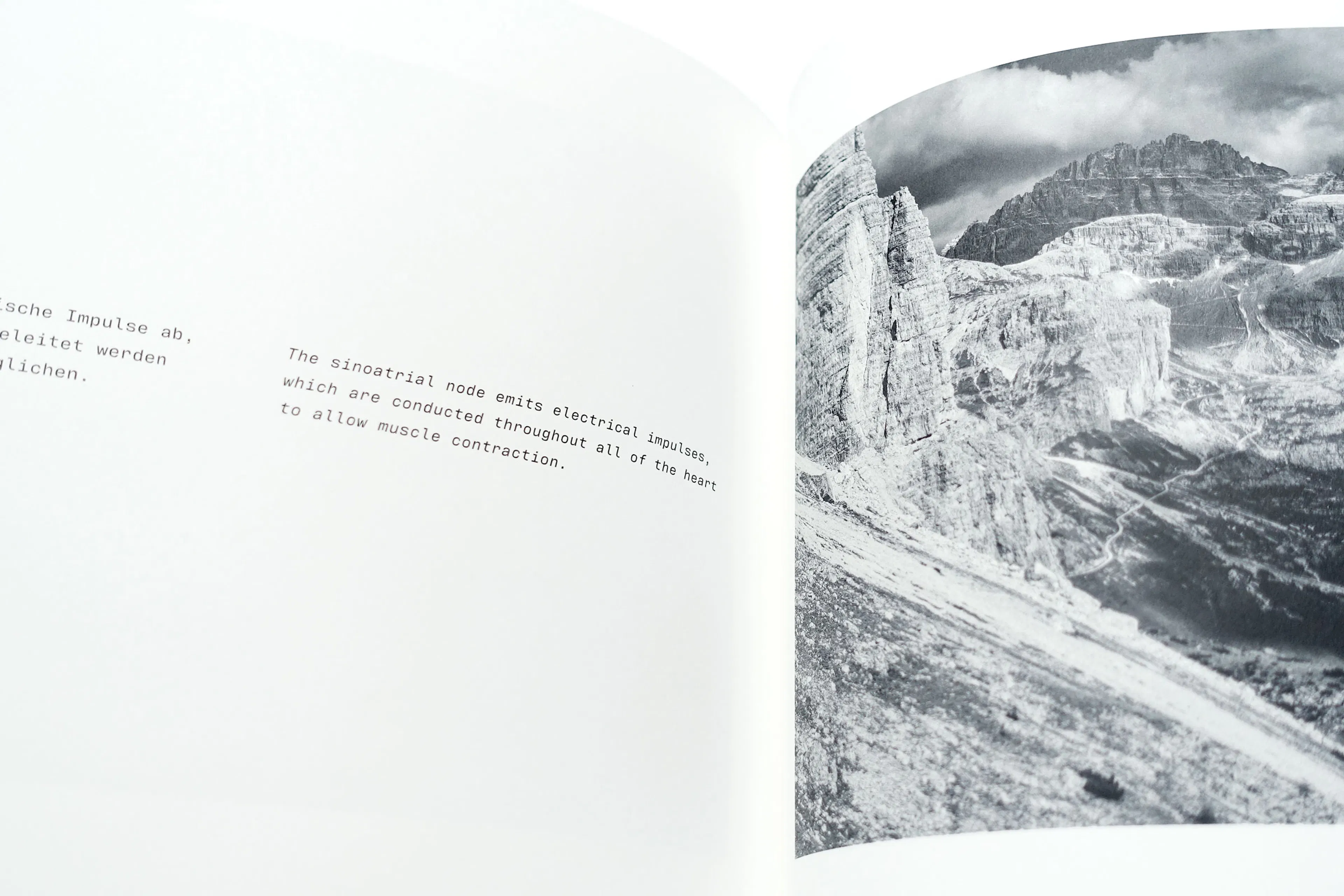 Design for the inner pages of Amélie Walter's photo book "Herzensangelegenheiten"