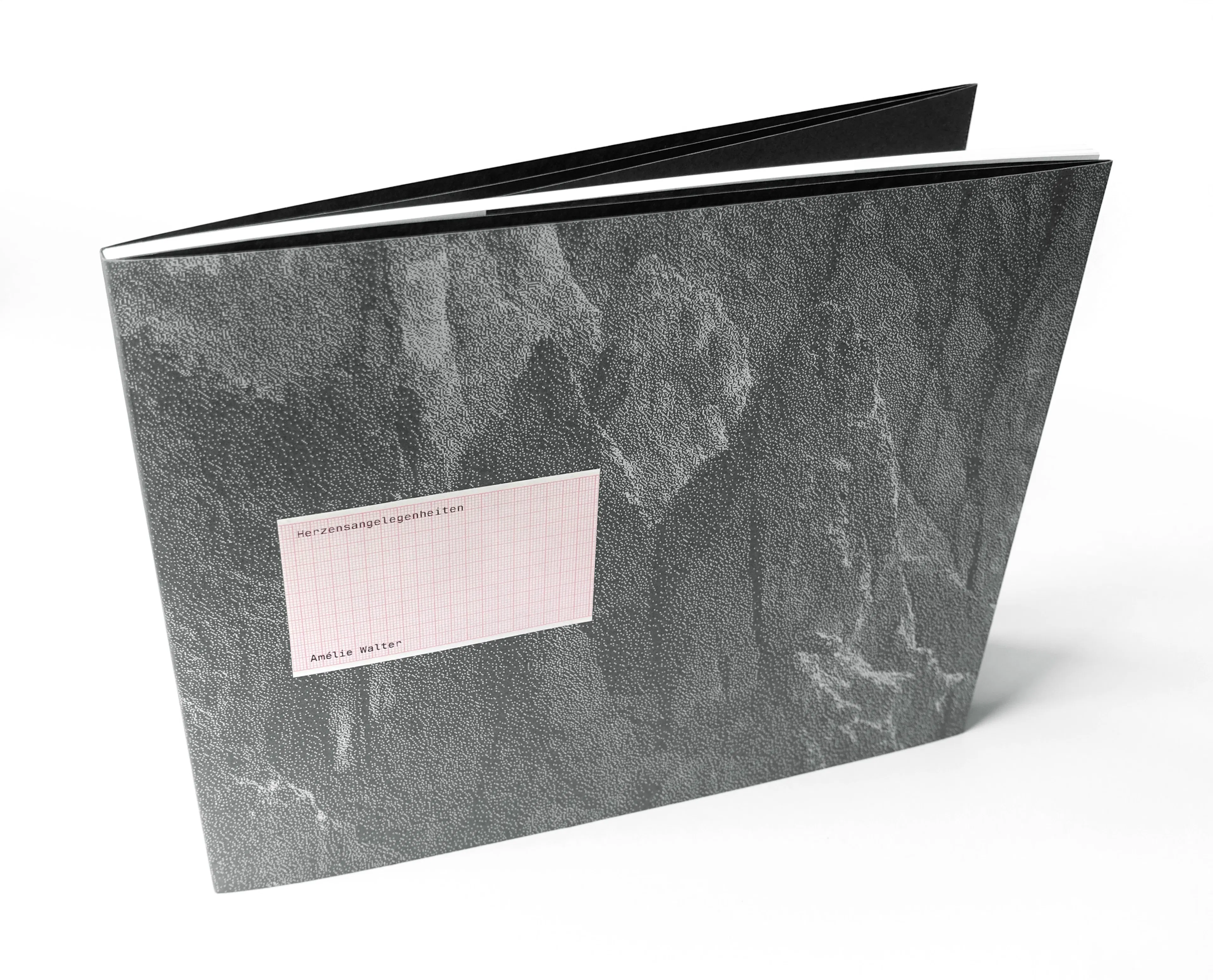 Design for the cover of Amélie Walter's photo book "Herzensangelegenheiten"