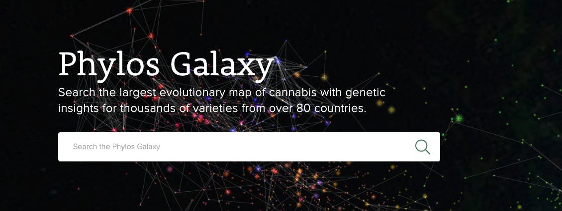 Phylos Galaxy Search