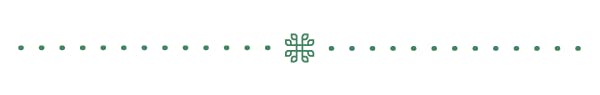 Phylos logo divider
