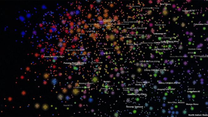 Phylos Galaxy screenshot