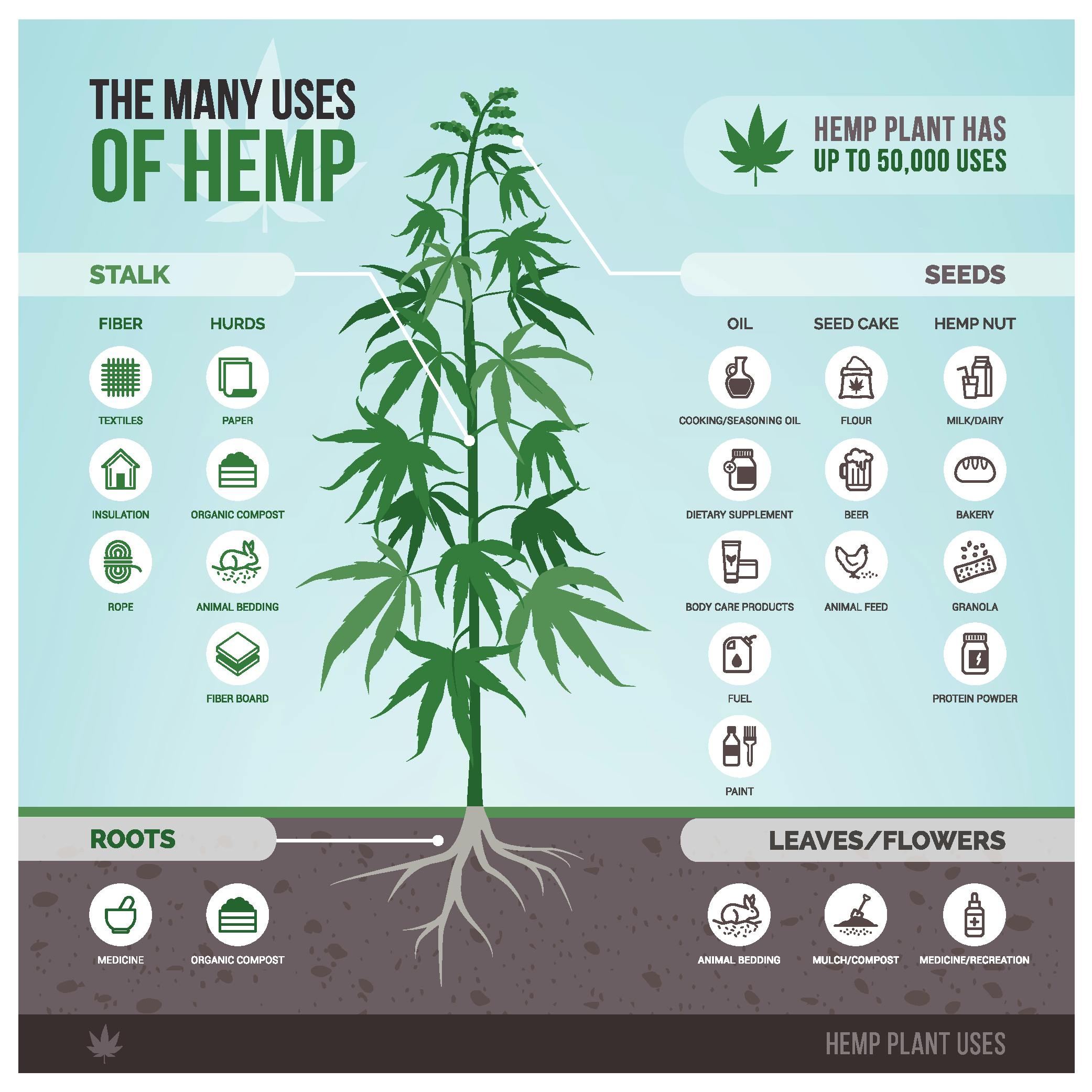 The Many Uses of Hemp infographic. Image via Medium.