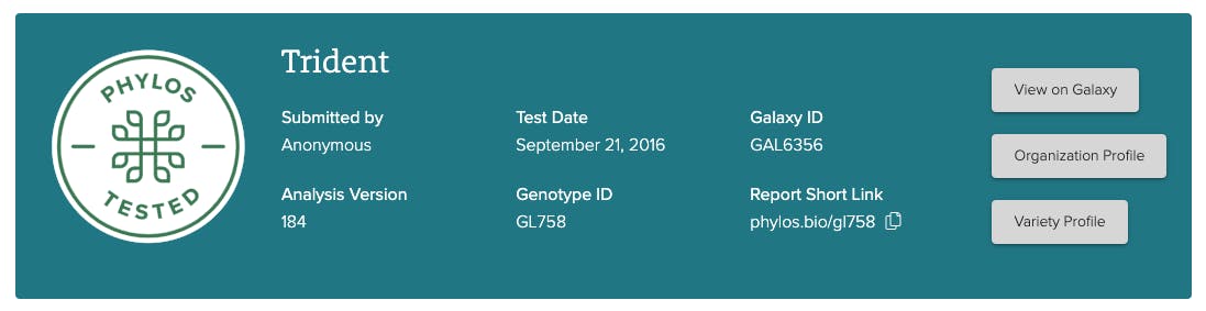Genotype Report header design layout