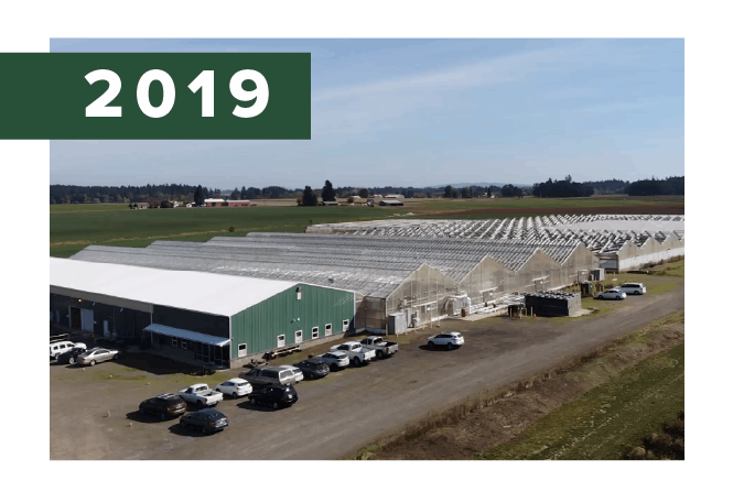 2019. Progressive Plant Research