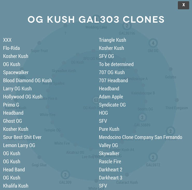 OG Kush Clone Names