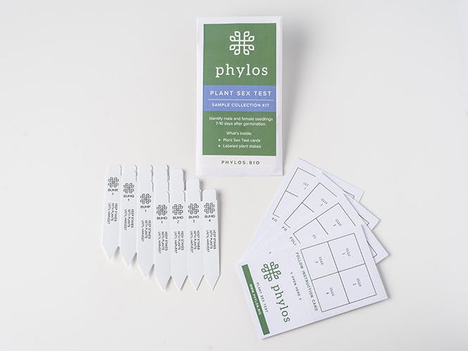 Plant Sex Test Phylos Bioscience 