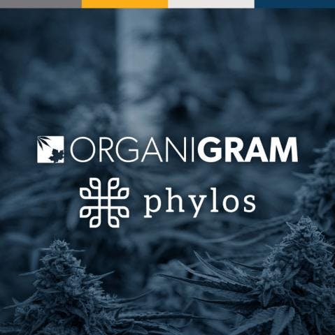 organigram and phylos logos against a blue background