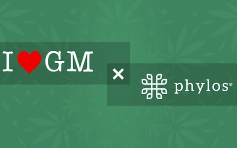 green background with cannabis leaves, ILGM and Phylos logos in the foreground