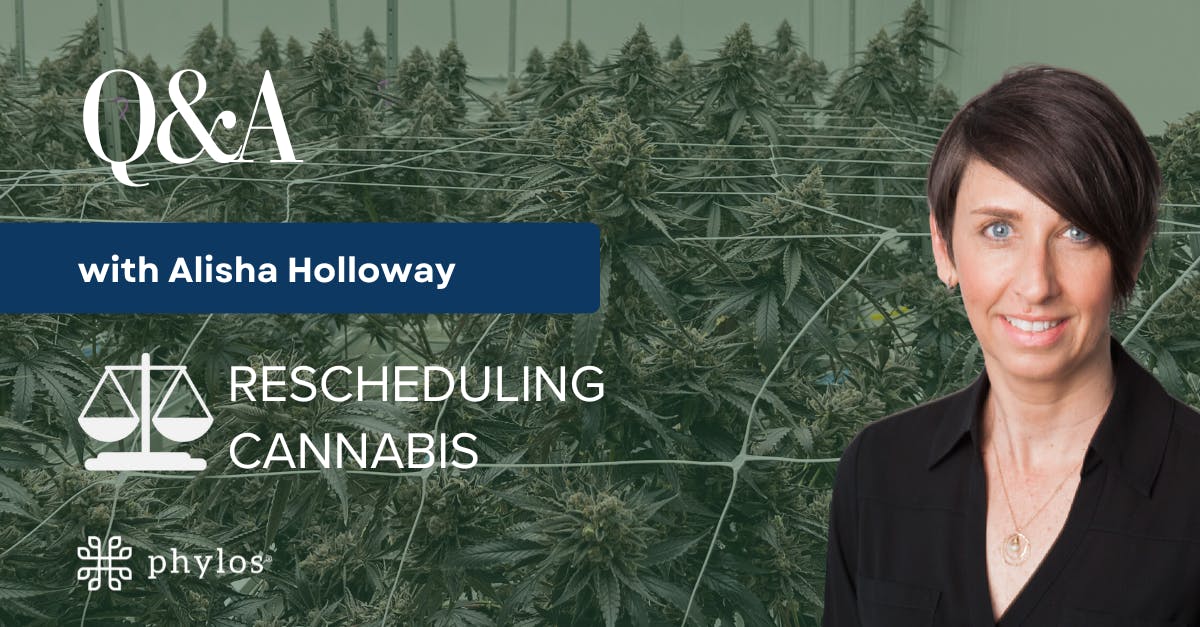 Alisha Holloway photo on top of cannabis plants with a dark green filter and white text "Q&A with Alisha Holloway: Rescheduling Cannabis"