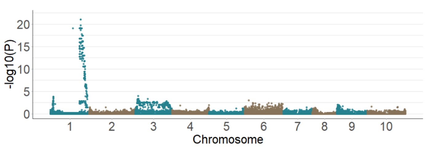 Manhattan plot showing autoflower recessive locus on chromosome 1