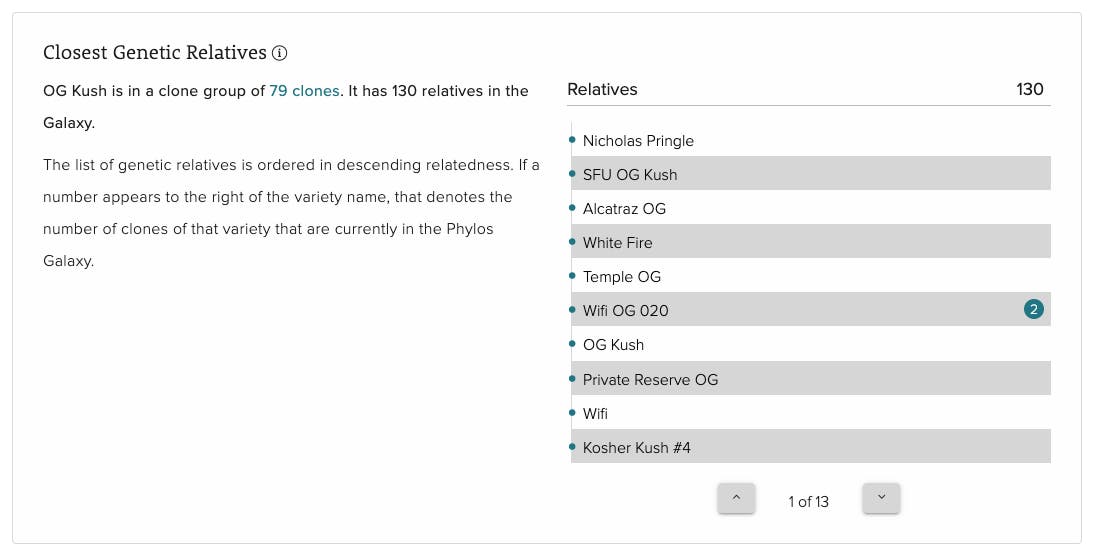 OG Kush Closest Genetic Relatives Insight