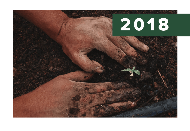 2018. Hands in soil