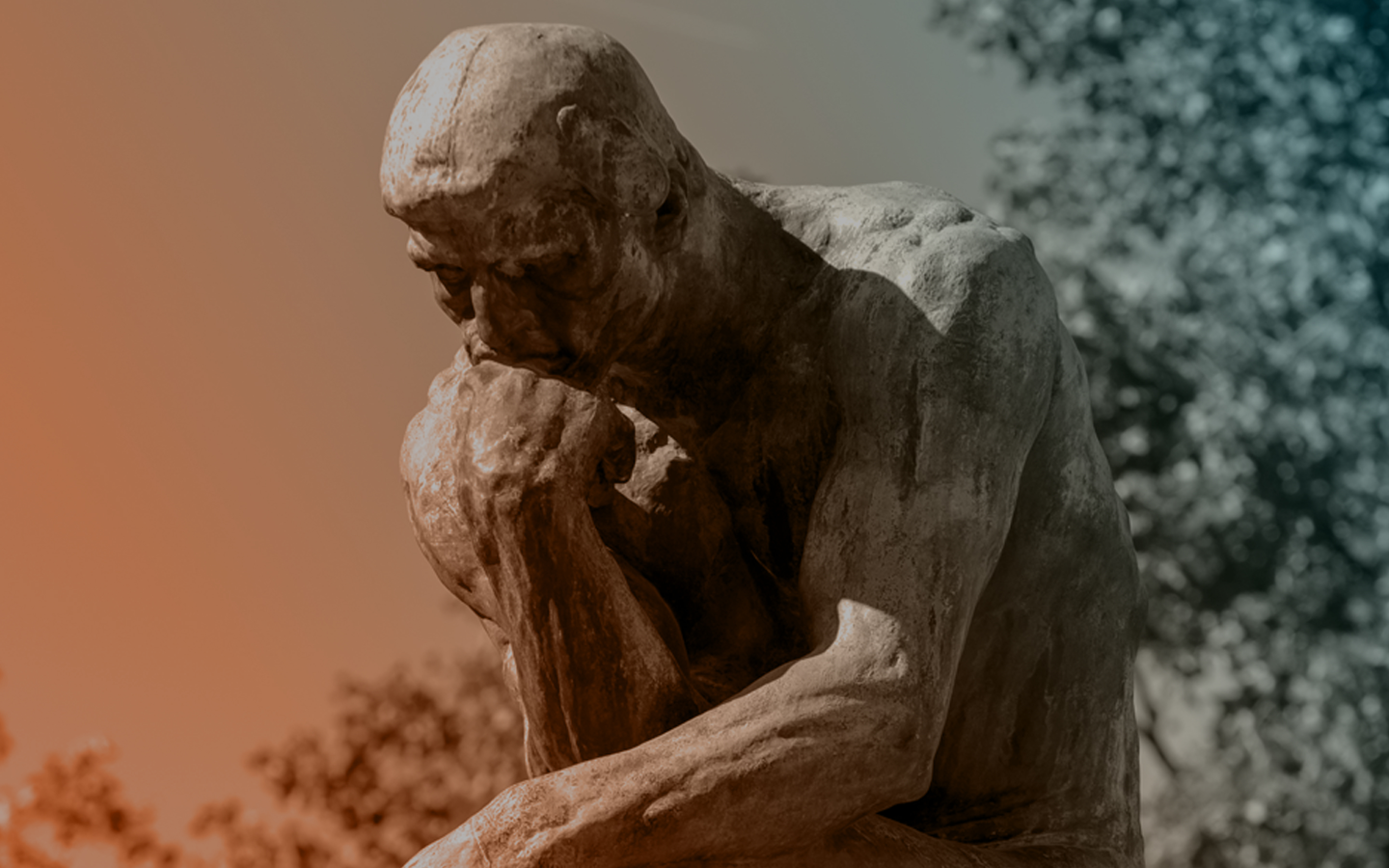 A CLOSER LOOK HUMAN INTELLIGENCE visual data 8