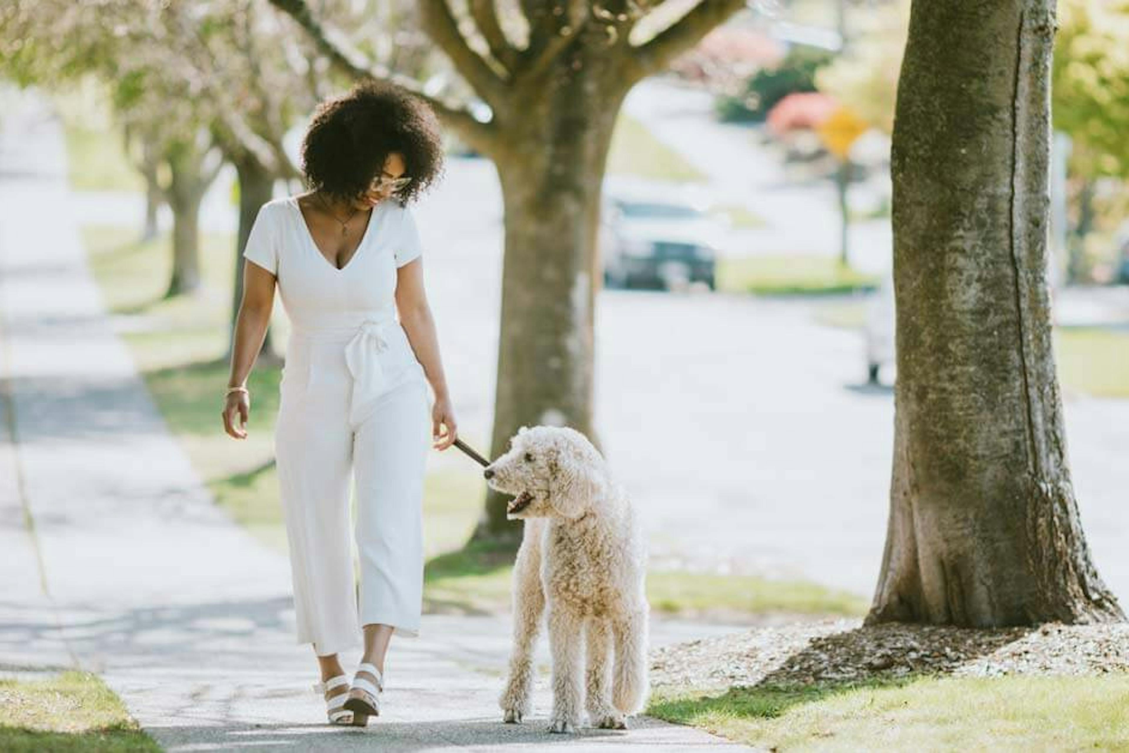 woman walking dog