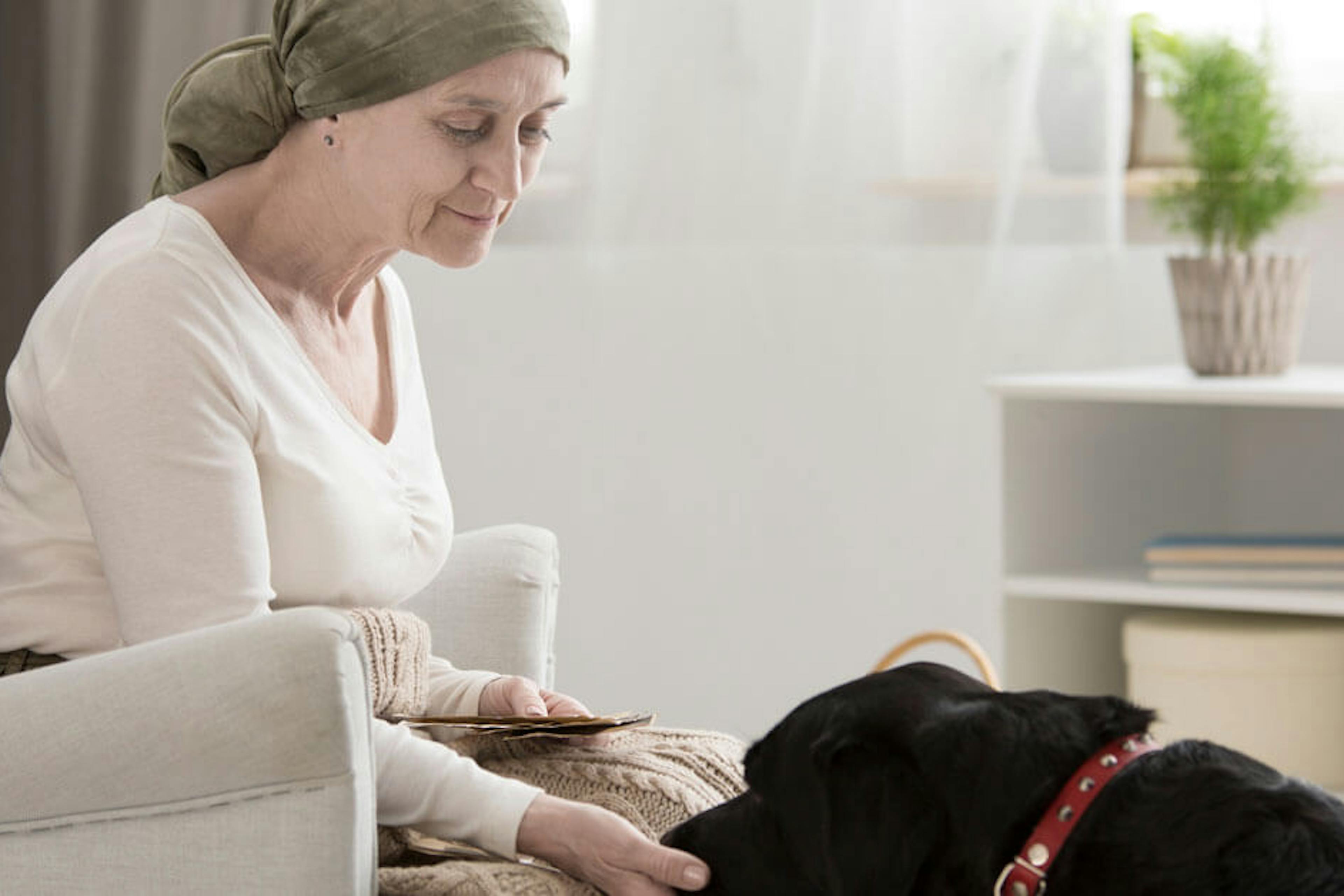 cancer patient with dog