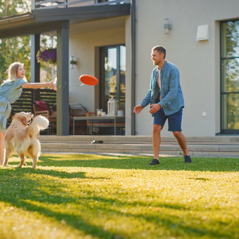 family throwing a frisbee