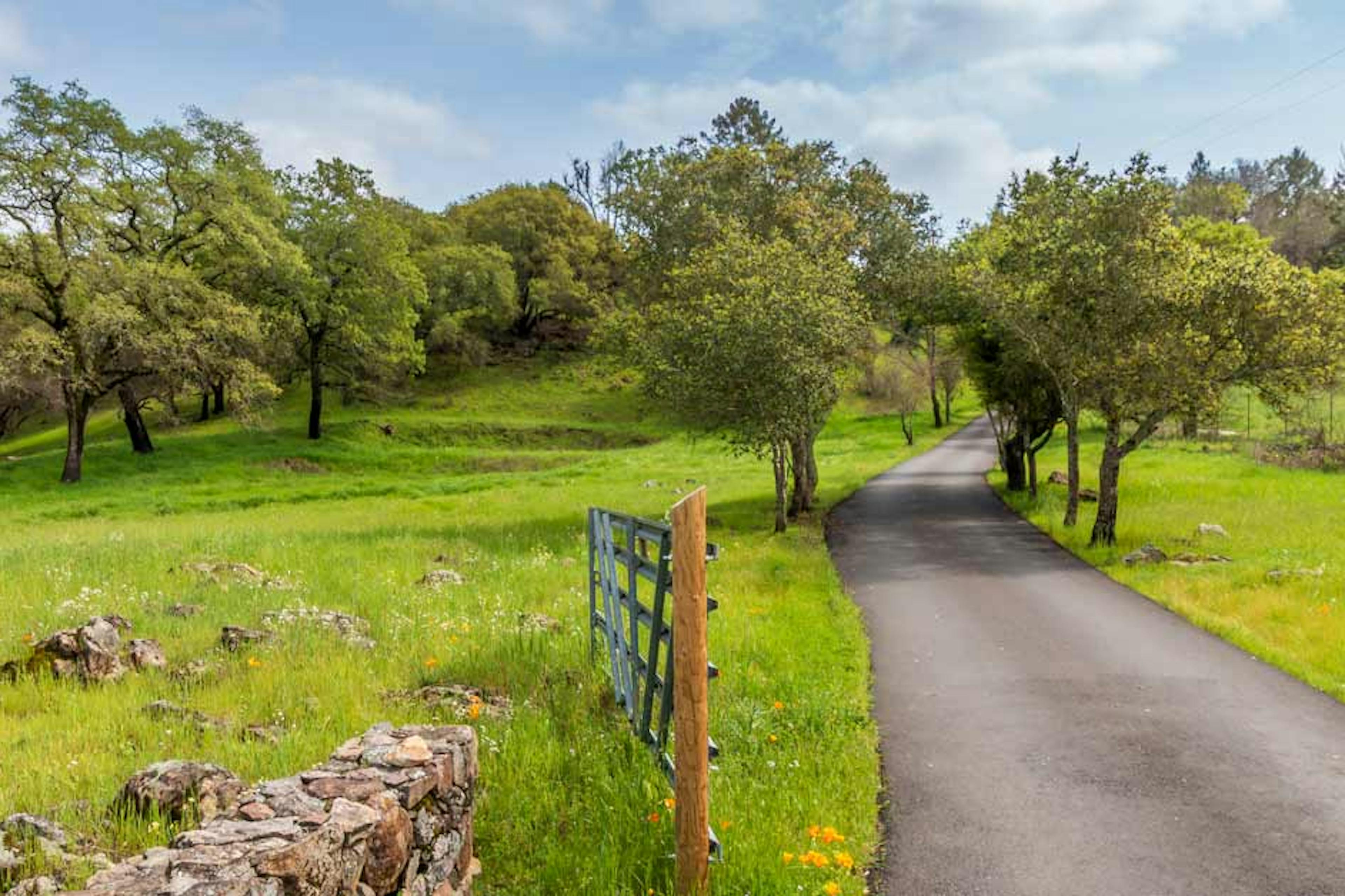 Road in Santa Rosa