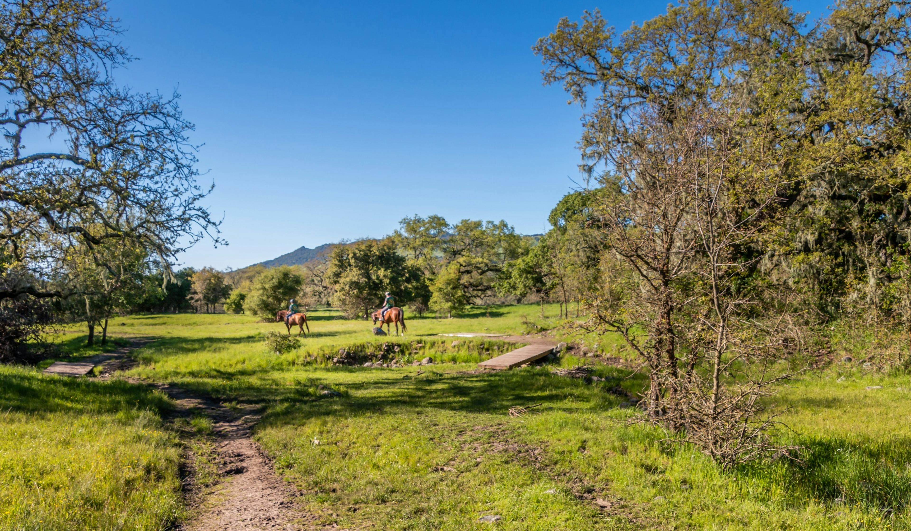 Santa Rosa Creek Trail