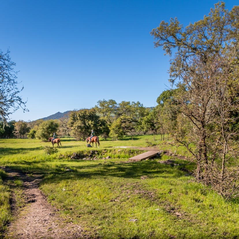 Santa Rosa Creek Trail